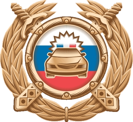 Госавтоинспекция